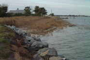 Ecosystem Destruction